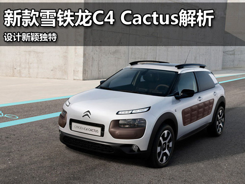 ¿ѩC4 Cactus ӱ